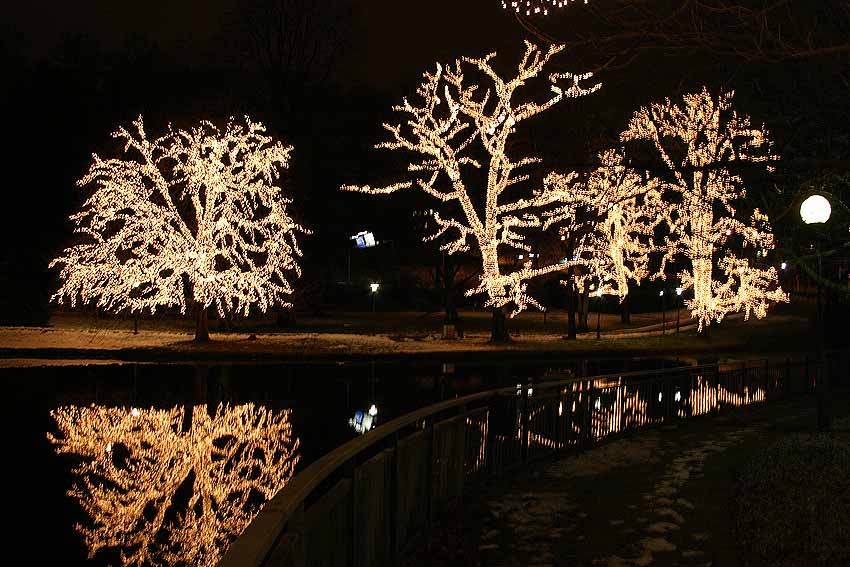 Stadsparken i julbeklädnad